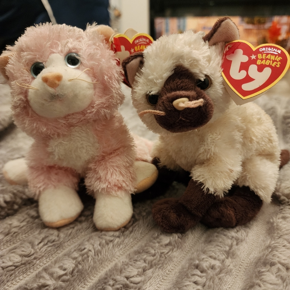 TY Beanie Babies Pink Cat Curtsy 2006  and Siamese Cat Orient 2007 Plush Duo